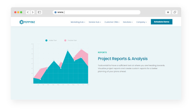 Project Reports and Analysis