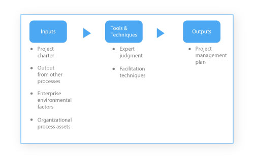 Develop the project management plan