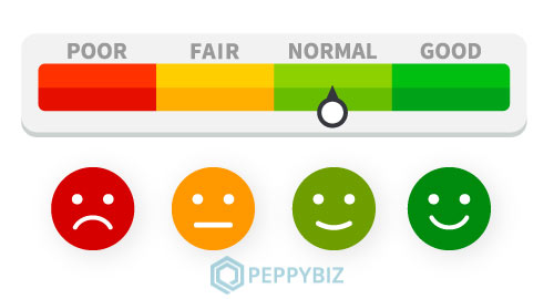 Net Promoter Score(NPS)